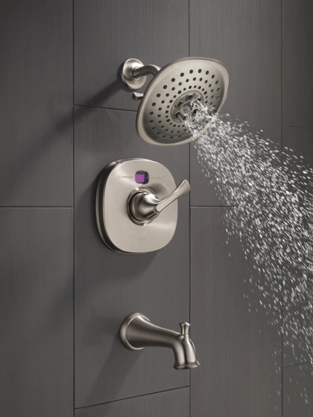 Thumbnail image of product: Transitional Temp2O® 14 Series Valve Only Trim - Less Handle