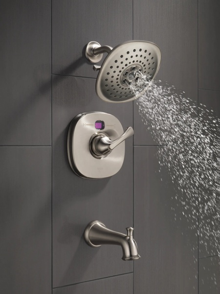 Thumbnail image of product: Transitional Temp2O® 14 Series Valve Only Trim - Less Handle